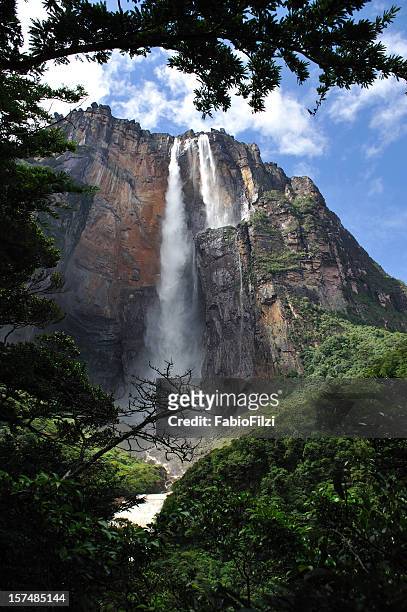 "angel jump" - angel falls stock pictures, royalty-free photos & images