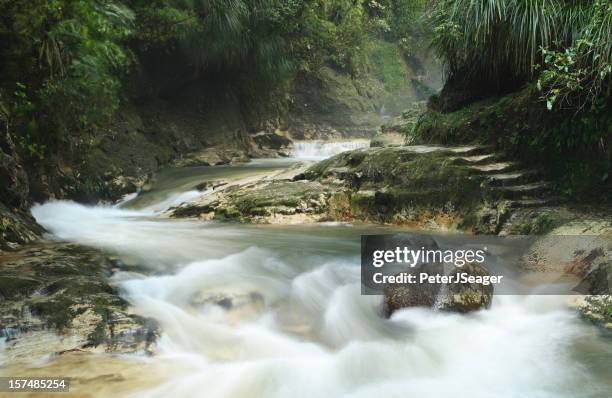 kaiate falls, bay of plenty nz - tauranga stock pictures, royalty-free photos & images