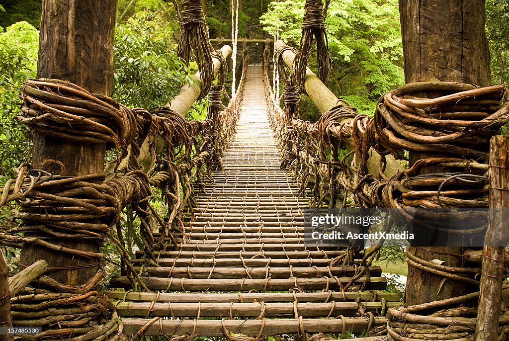 Vine Rope Bridge Old Vine Bridge High-Res Stock Photo - Getty Images