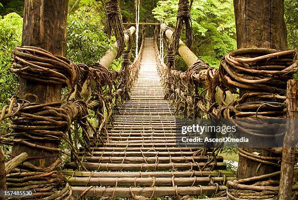 old vine bridge - tokushima prefecture stock pictures, royalty-free photos & images