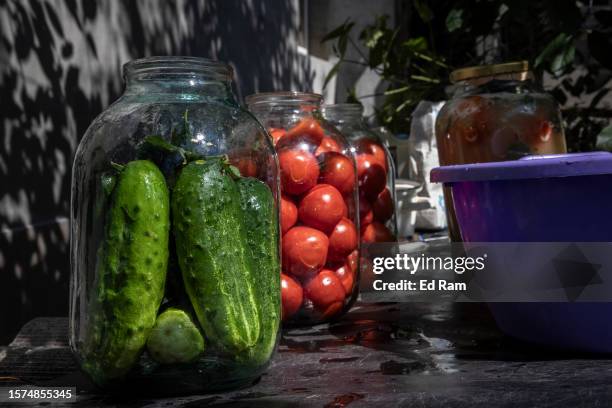 Cucumbers and leaves are seen in a jar as Lilia Martyniuk pickles vegetables in her home in Kyiv on August 3, 2023 in Kyiv Region, Ukraine....