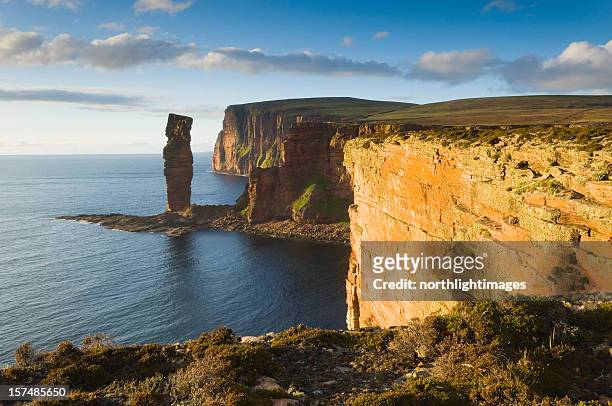 the old man of hoy in evening light - orkney stock pictures, royalty-free photos & images