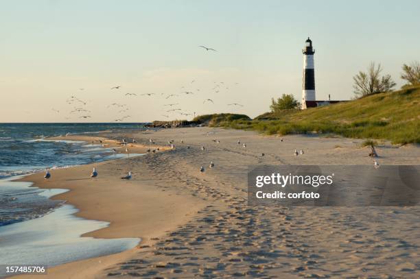 big sable point lighthouse with gulls - michigan summer stock pictures, royalty-free photos & images