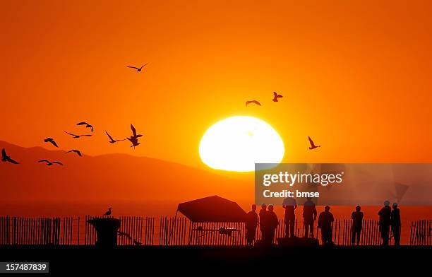 sunset at sunset beach! - sunset beach hawaï stockfoto's en -beelden