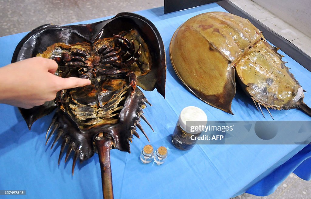 TAIWAN-HEALTH-SCIENCE-ANIMALS-MEDICINE