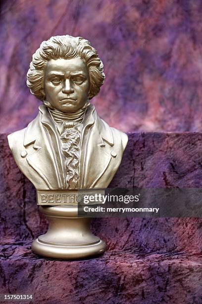 beethoven bust - ludwig van beethoven bildbanksfoton och bilder