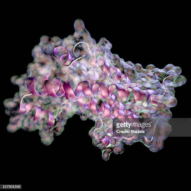 model of human growth hormone - enzyme structure stock pictures, royalty-free photos & images