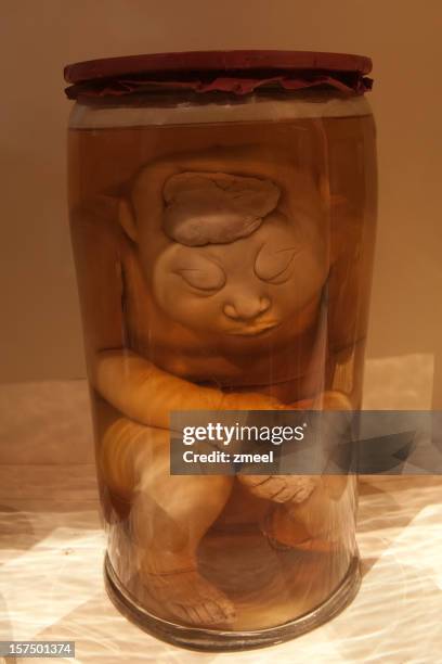 jar with strange human being - bare corpse stock pictures, royalty-free photos & images