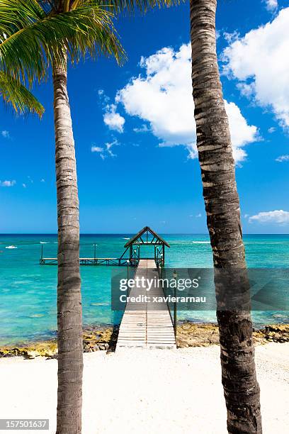 bootssteg im paradies - mauritius stock-fotos und bilder