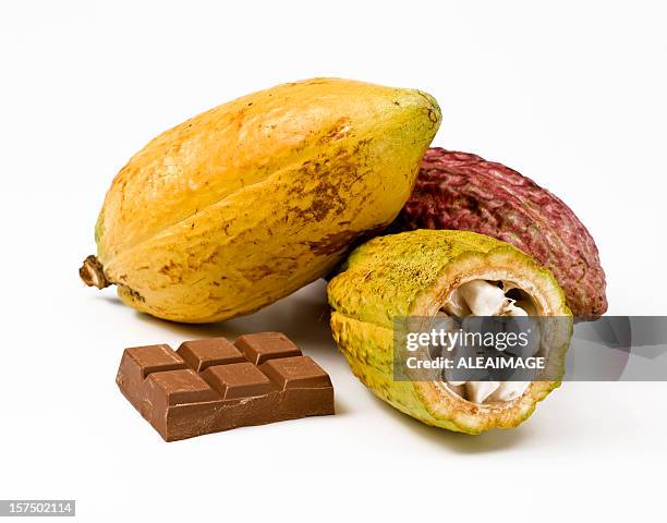 schokolade und obst - kakaobohnen stock-fotos und bilder