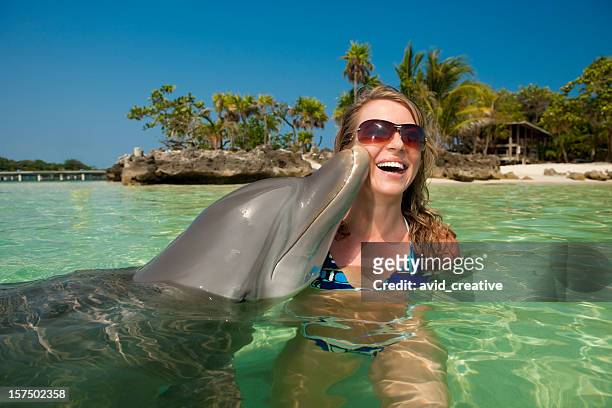 férias vida-dolphin beijando mulher rosto - dolphins - fotografias e filmes do acervo