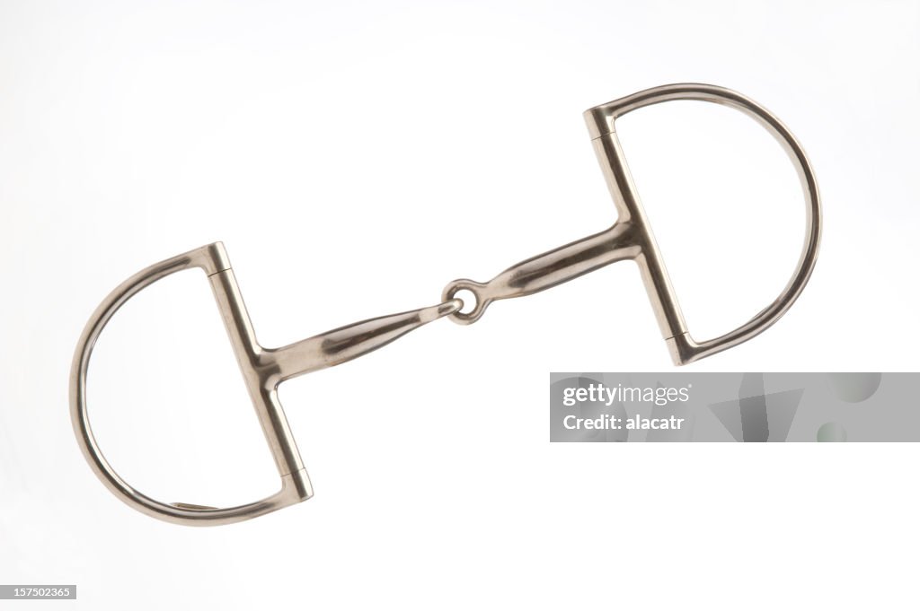 D-Ring Snaffle