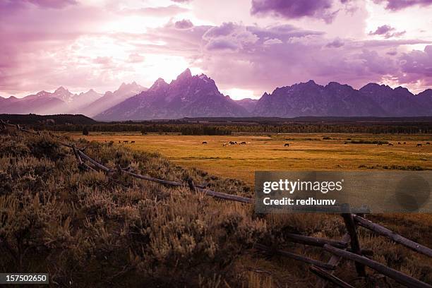 pferde weiden bei sonnenuntergang auf der tetons - american ranch landscape stock-fotos und bilder