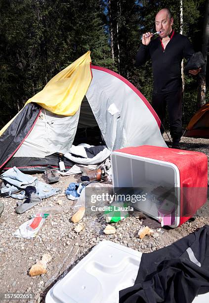campingplatz, von bären oder andere wild animal - wildunfall stock-fotos und bilder