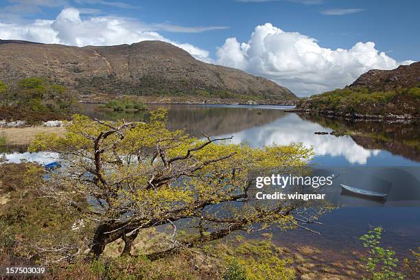 upper lake, killarney provincial park - killarney lake stock pictures, royalty-free photos & images