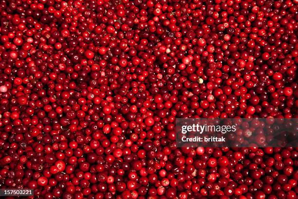 lingon berries at farmers market. stockholm sweden. - cranberry stock pictures, royalty-free photos & images