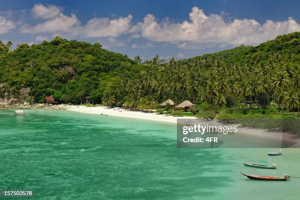 playa paraíso tropical apartada con una gran cantidad de palmeras (xxxl - phi phi le fotografías e imágenes de stock