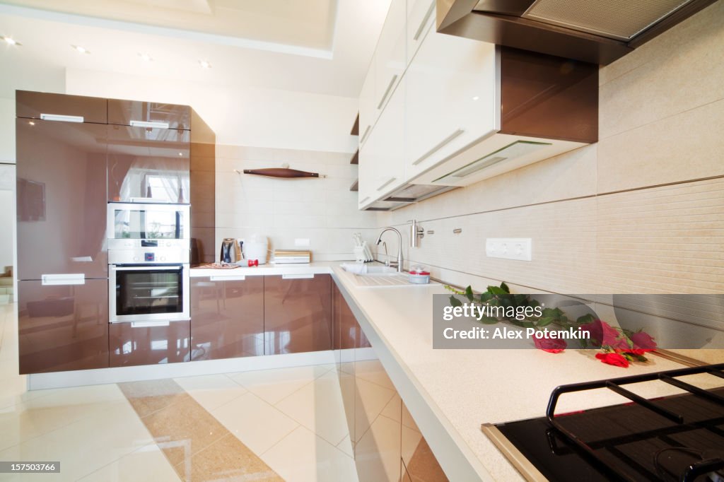 Luxury Kitchen interior