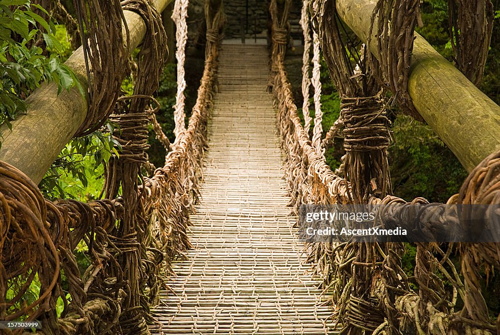Vine Rope Bridge Vine Bridge High-Res Stock Photo - Getty Images