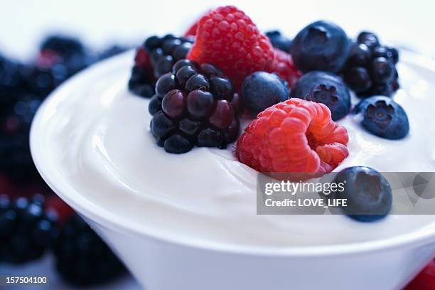 yogurt and fruit. - bowl of blueberries stockfoto's en -beelden