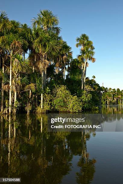 Lake In Peru High-Res Stock Photo