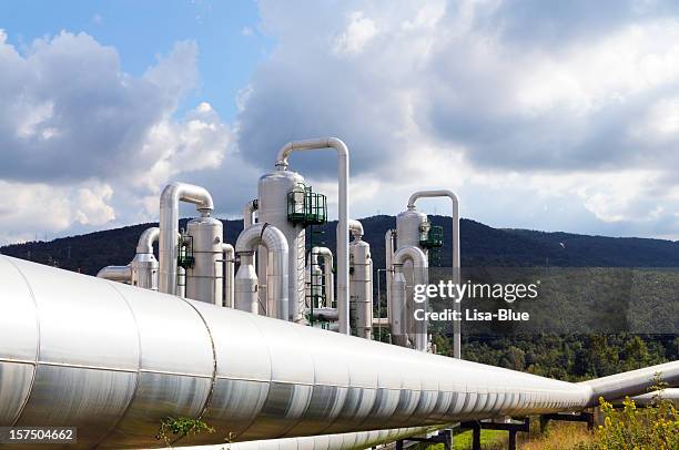 geothermal power station - geothermische centrale stockfoto's en -beelden