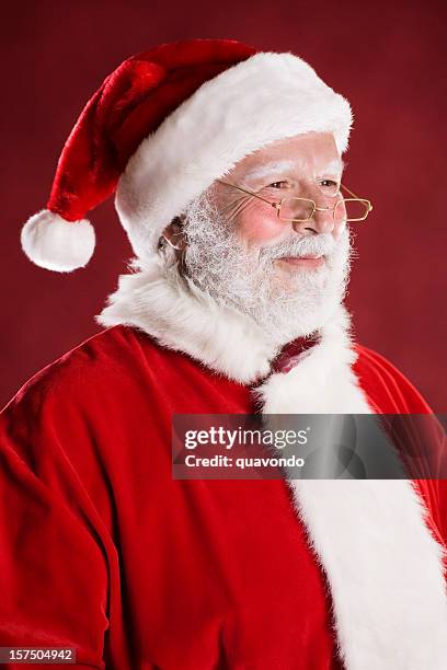 cheerful santa claus portrait, profile - santa portrait stock pictures, royalty-free photos & images