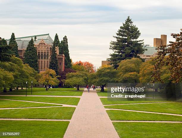 quandrangle lawn at the university of washington - universiteit stockfoto's en -beelden