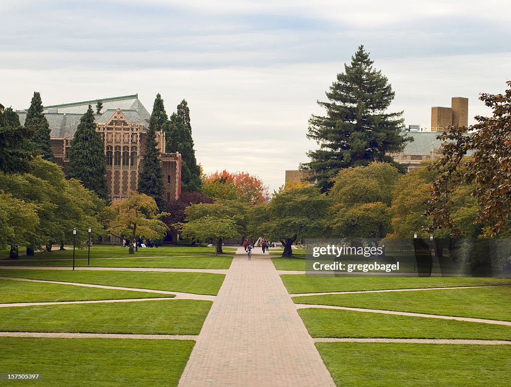 Quandrangle gramado na Universidade de Washington