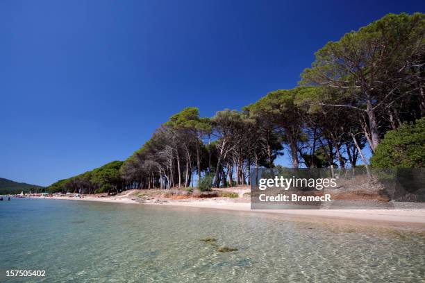 mugoni beach - alghero stock pictures, royalty-free photos & images