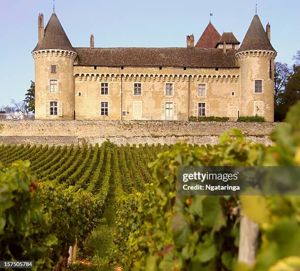 wein und castle - burgundy stock-fotos und bilder