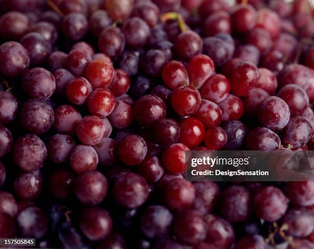 red grapes - red grape stockfoto's en -beelden