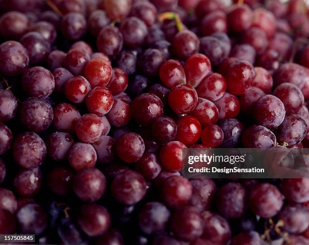 red grapes - red grape bildbanksfoton och bilder