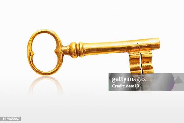 skeleton key - golden key stock-fotos und bilder