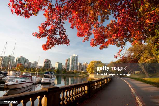 vancouver stanley park - vancouver autumn foto e immagini stock