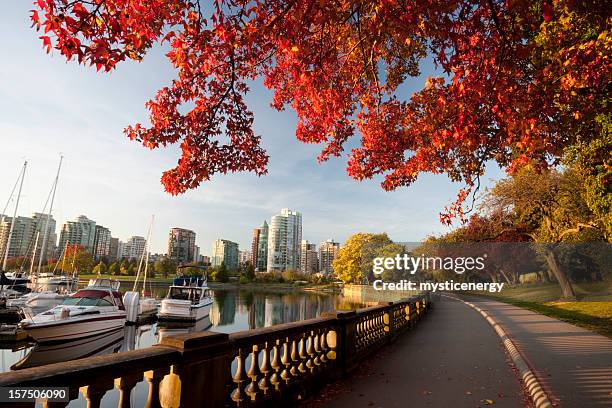 parque de stanley vancouver - vancouver canada imagens e fotografias de stock