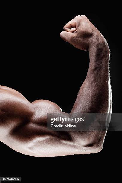 gros plan des biceps - muscle photos et images de collection