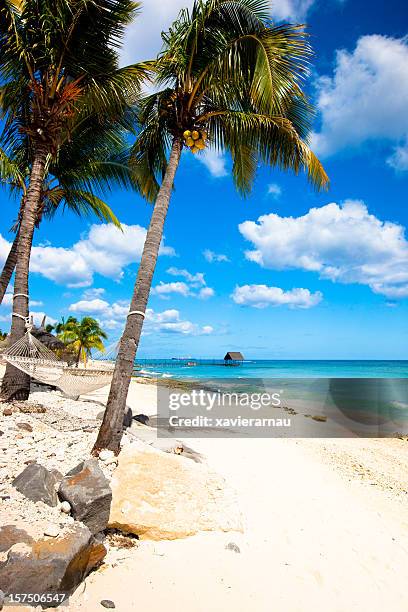 mauritius beach - mauritius stock pictures, royalty-free photos & images