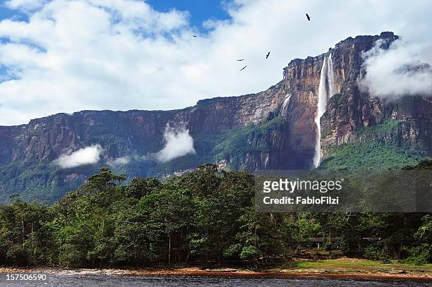 a beautiful view of salto angel - venezuela stock pictures, royalty-free photos & images