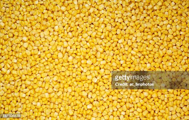 sweet corn - sweetcorn stock pictures, royalty-free photos & images