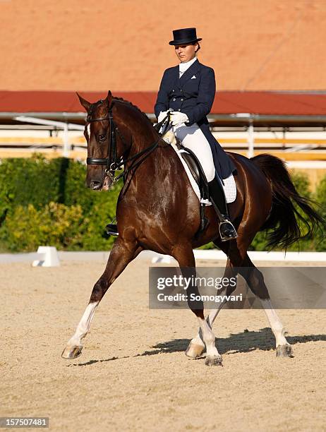 dressage scena, half-pass in trot - dressage foto e immagini stock