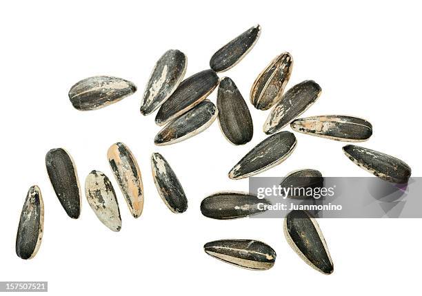 sunflower seeds from above - bird seed stock pictures, royalty-free photos & images