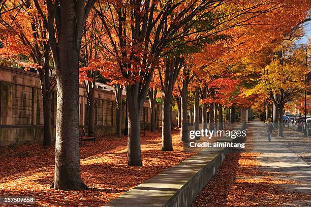 sidewalk - princeton new jersey stock pictures, royalty-free photos & images