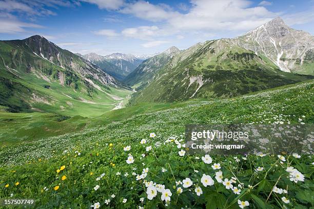 lechtal panorama - estado del tirol fotografías e imágenes de stock