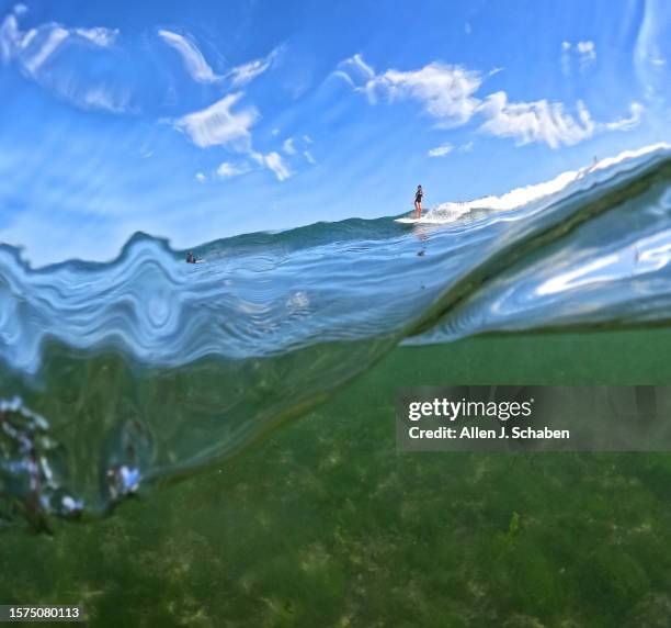 Malibu, CA A surfer takes advantage of a good south swell and warm water as he surfs on a hot summer day at Malibu Surfrider Beach in Malibu Tuesday,...