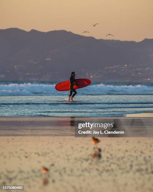 Manhattan Beach, CA A surfer ends his day and is framed by the Manhattan Beach Pier, as winds pick up along the coast, in Manhattan Beach, CA,...