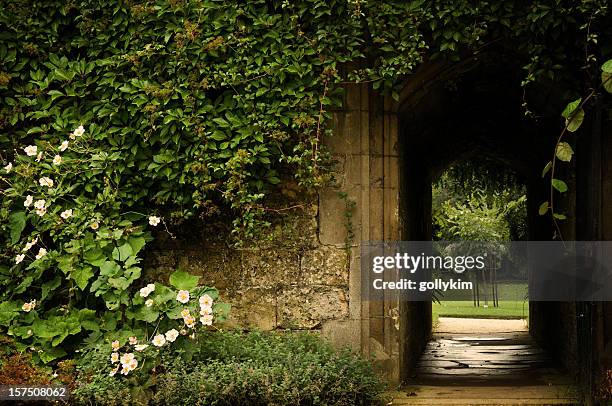 secret garden door - 常春藤 個照片及圖片檔