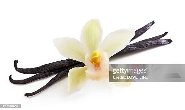 vanilla beans and orchid - vanilla stock pictures, royalty-free photos & images