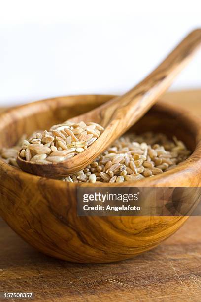 raw farro grains in an olive wood bowl with spoon - wood grain 個照片及圖片檔