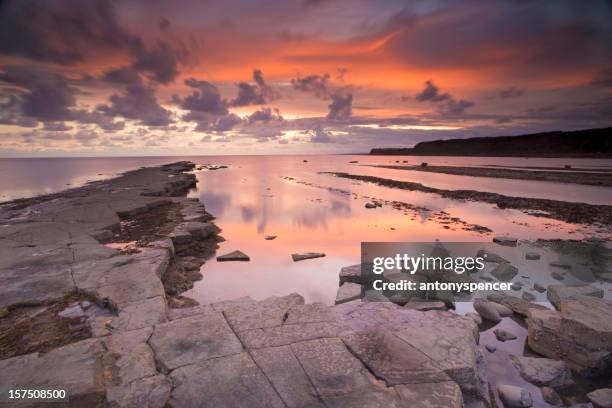 kimmeridge twilight - south west coast path stock pictures, royalty-free photos & images